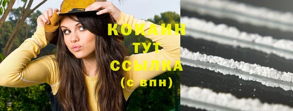 винт Майский