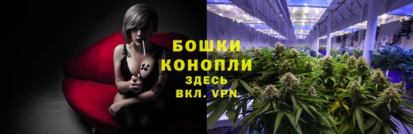 винт Майский