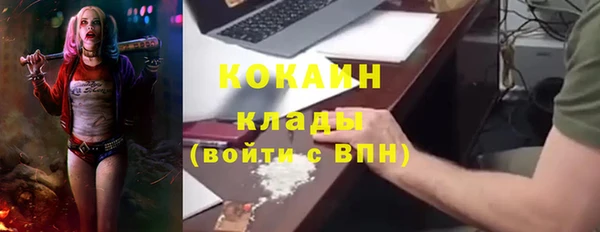 винт Майский