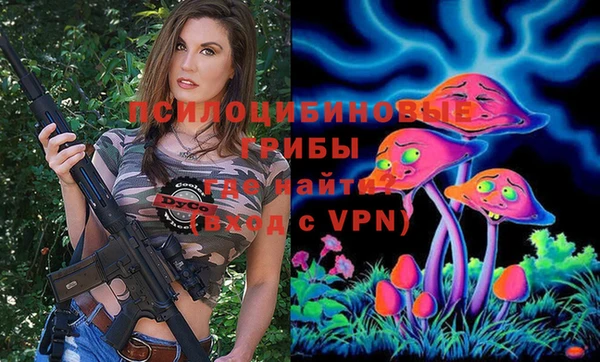 винт Майский