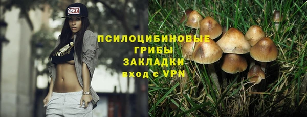 дживик Магас