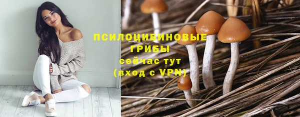 винт Майский
