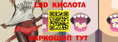 шишки Изобильный