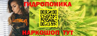 гидропоника Балахна