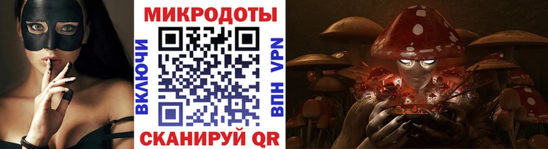 Купить где  Майский  Галлюциногенные грибы Psilocybine cubensis 