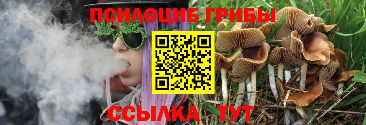 Псилоцибиновые грибы мухоморы  Галлюциногенные грибы Psilocybine cubensis  Майский  Вход с VPN 