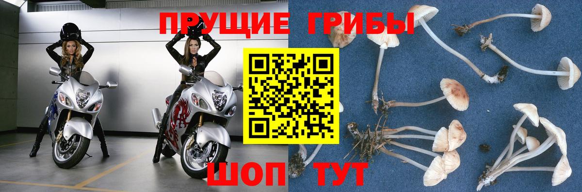 Галлюциногенные грибы мухоморы Майский