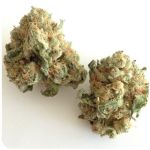 Шишки "White Widow"  (Белая вдова)  Гидропоника -  Бошка VHQ в Майском